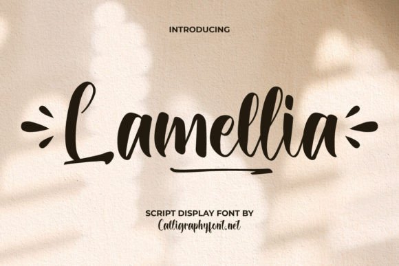 Lamellia Font: A Playful Typeface for Bold Campaigns